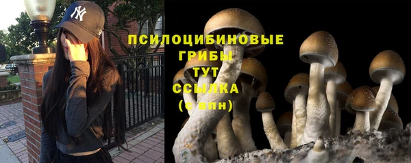 героин Корсаков